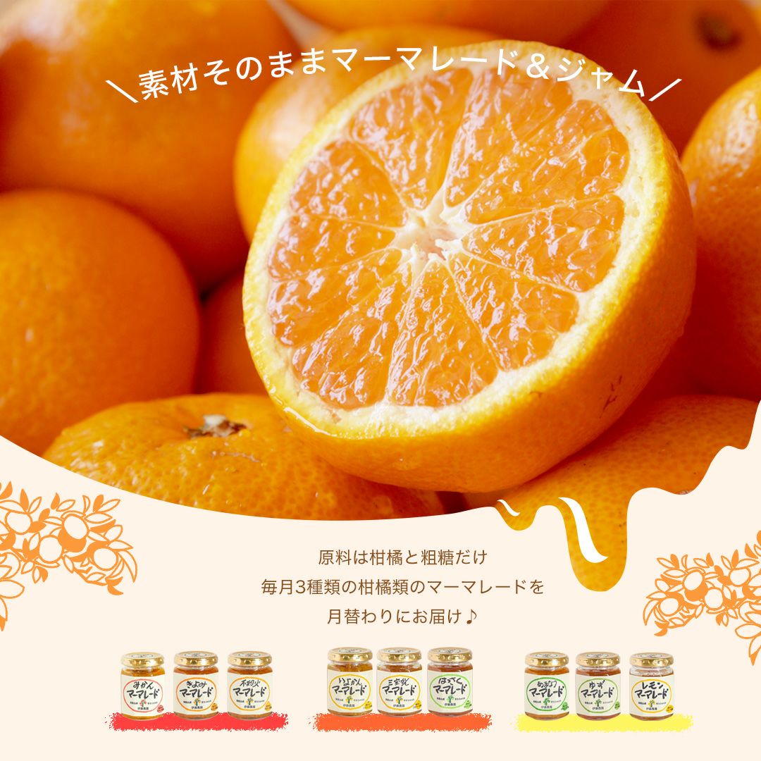 【3ヶ月お試し定期便】マーマレード&ジャム×3個入り(毎月3種類お届け♪全9種類が味わえる定期便)