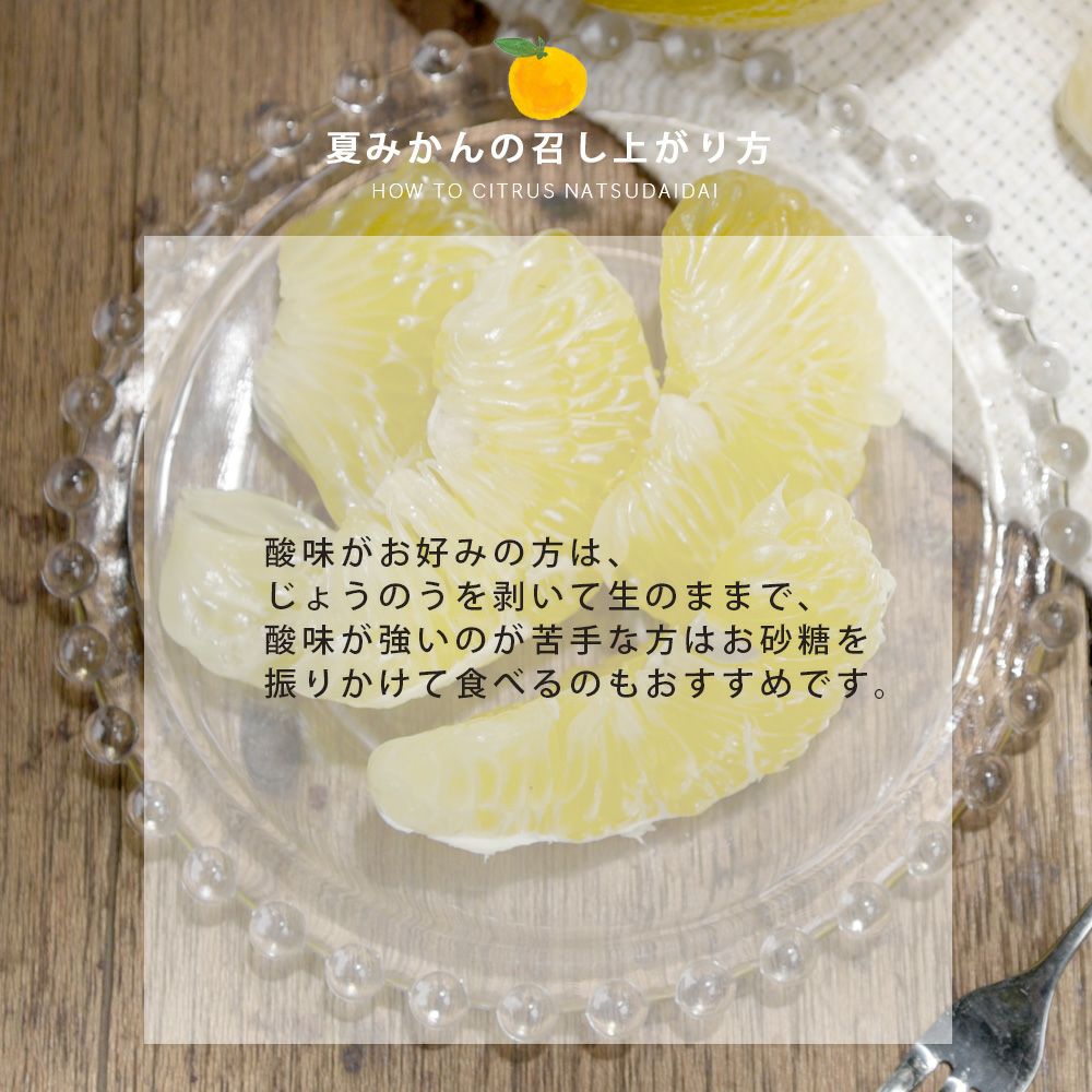 夏みかん 柑橘🍊色々 ただいまフルーツマルシェUFOにはいろんな柑橘をならべて