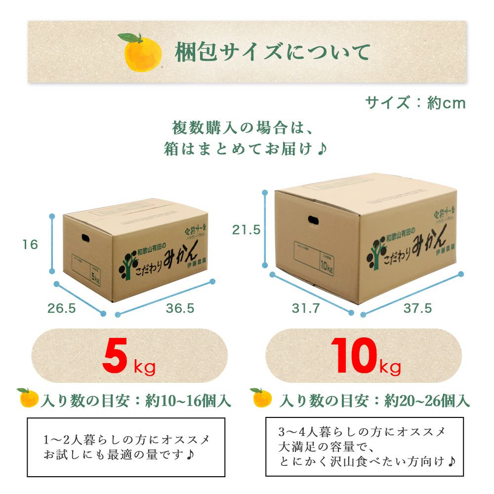 夏みかん【家庭用(訳あり)】 2.5kg