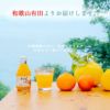 みかんジュース・みかんゼリーバラエティセット(100%ピュアジュース 180ml×5本・フルーツ寒天ゼリー90g×4個)