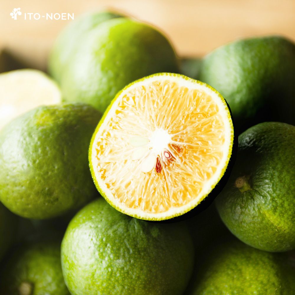 ジャバラ【贈答用(特選品)】2.5g・5kg