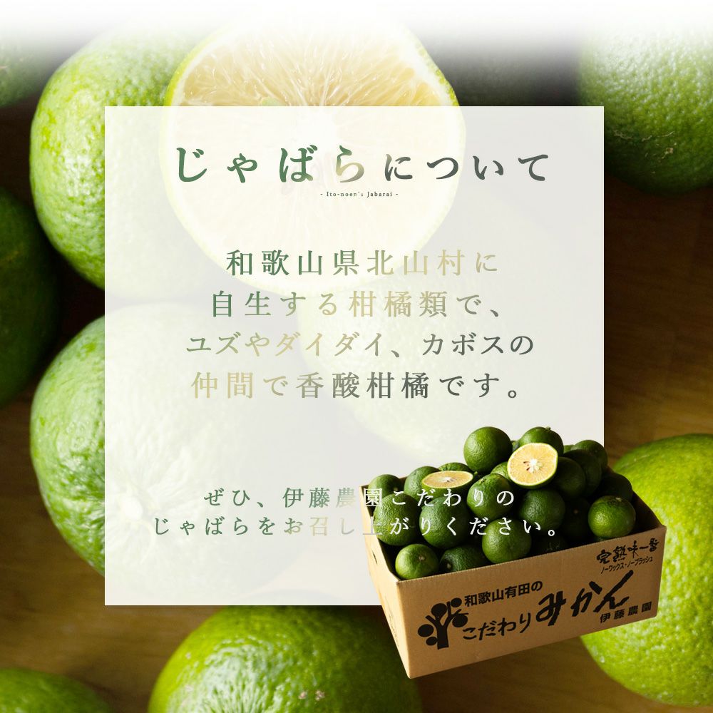 ジャバラ【贈答用(特選品)】2.5g・5kg