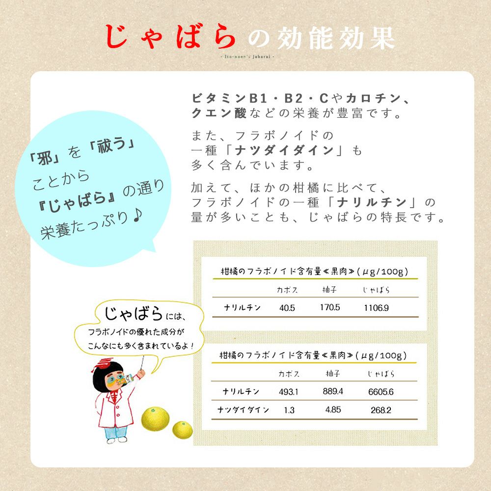 ジャバラ【贈答用(特選品)】2.5g・5kg