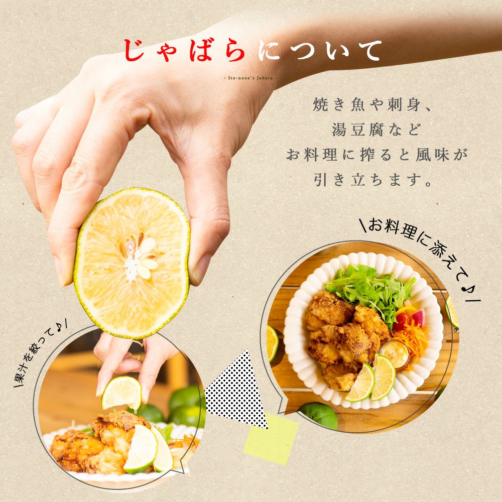 ジャバラ【贈答用(特選品)】2.5g・5kg