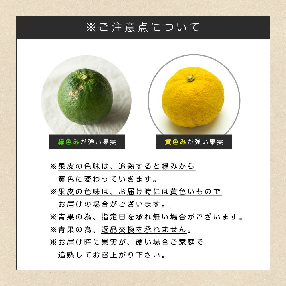 ジャバラ【贈答用(特選品)】2.5g・5kg