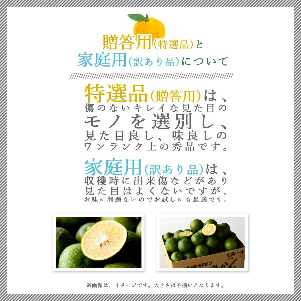 ジャバラ【贈答用(特選品)】2.5g・5kg