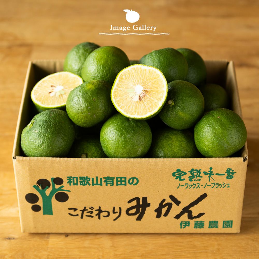 ジャバラ【贈答用(特選品)】2.5g・5kg