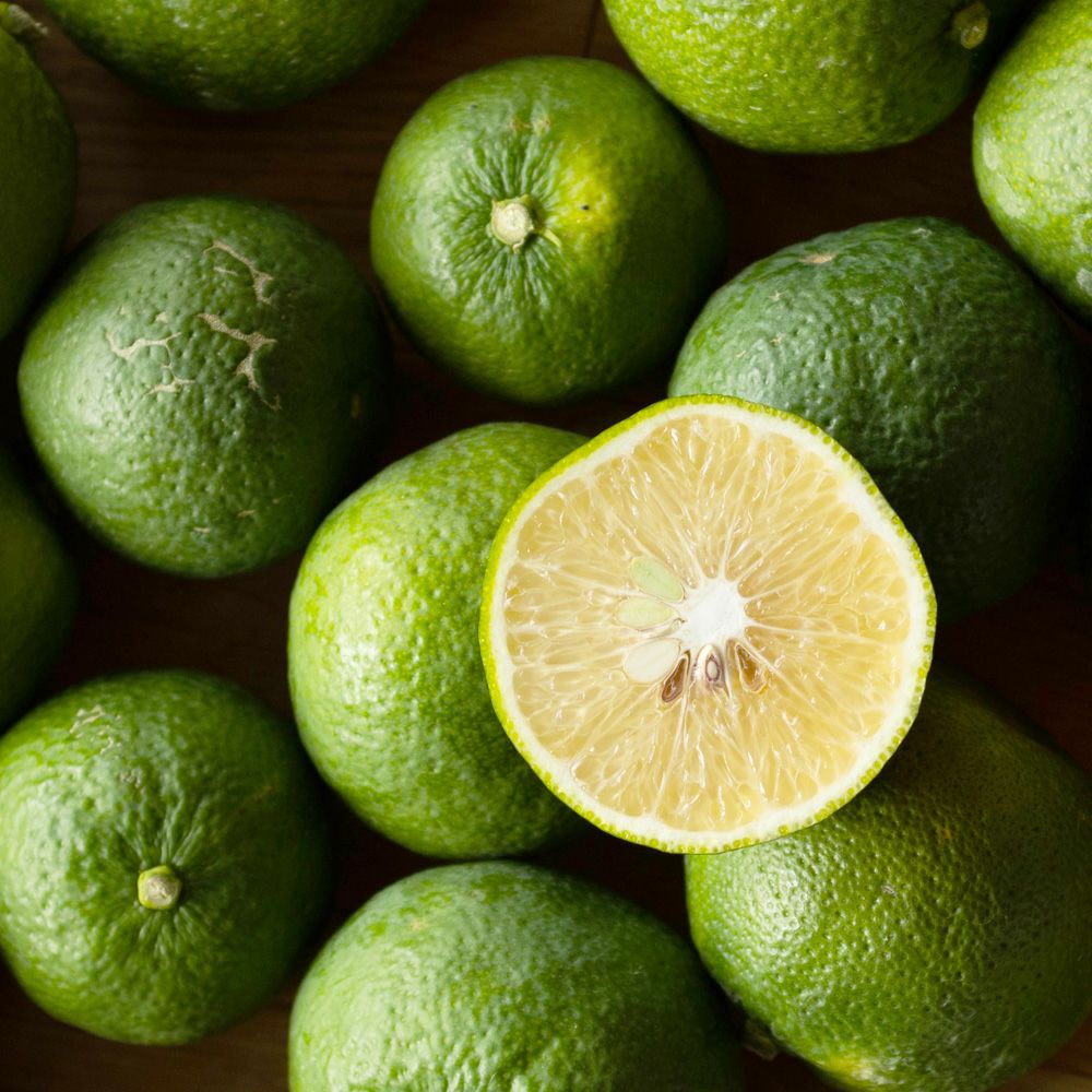 ジャバラ【贈答用(特選品)】2.5g・5kg