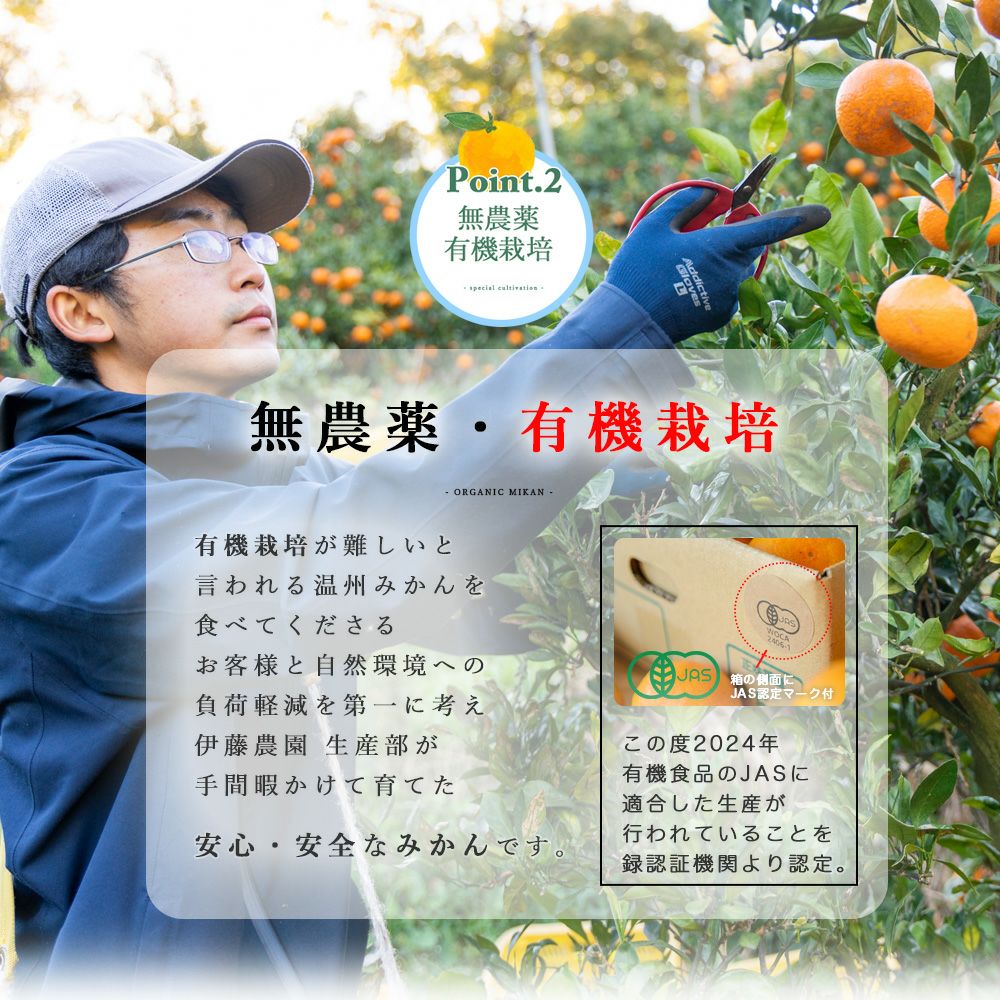 【有機JAS認証付】有田みかんミックスサイズ【家庭用(訳あり品)】[2.5kg・5kg・10kg] 2S～3Lサイズ