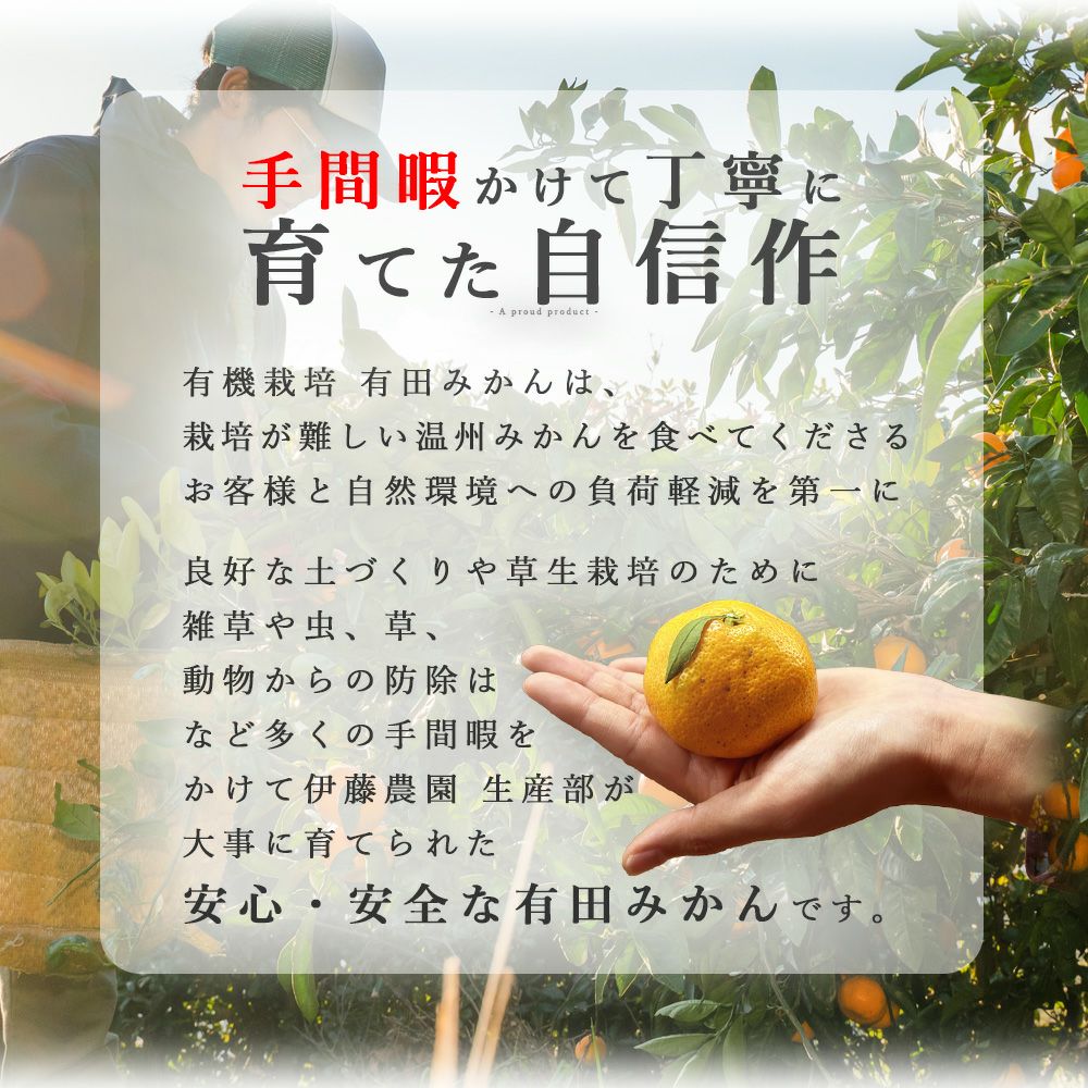 【有機JAS認証付】有田みかんミックスサイズ【家庭用(訳あり品)】[2.5kg・5kg・10kg] 2S～3Lサイズ