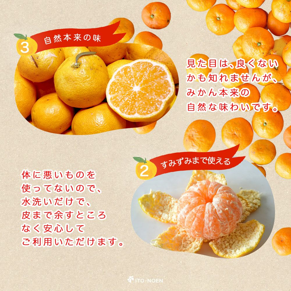 【有機JAS認証付】有田みかんミックスサイズ【家庭用(訳あり品)】[2.5kg・5kg・10kg] 2S～3Lサイズ