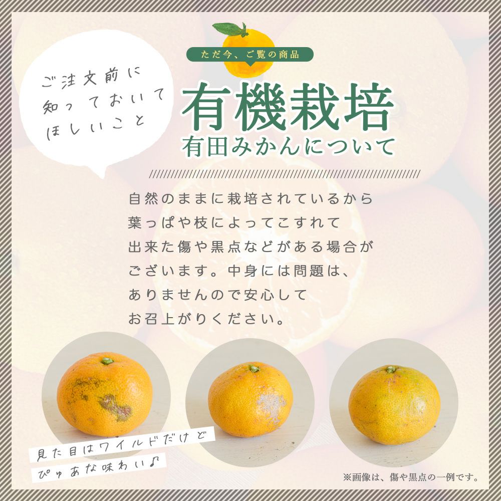 【有機JAS認証付】有田みかんミックスサイズ【家庭用(訳あり品)】[2.5kg・5kg・10kg] 2S～3Lサイズ