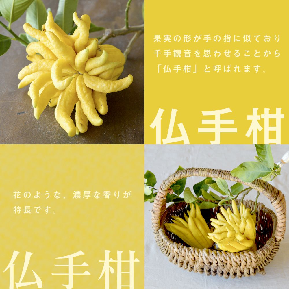 お歳暮ギフト特集】【冬季限定】【数量限定】【12月26日以降 順次発送