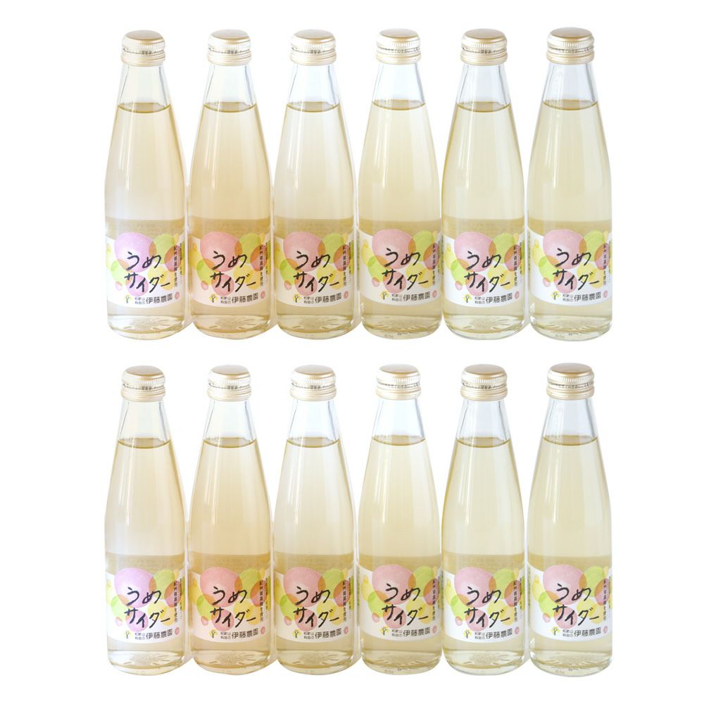 和歌山フルーツサイダー(うめ)