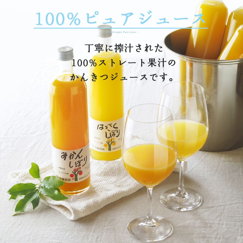 バラエティーセットV-095 (みかんジュース バラエティセット)