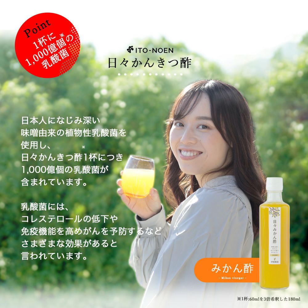 バラエティーセットV-095 (みかんジュース バラエティセット)