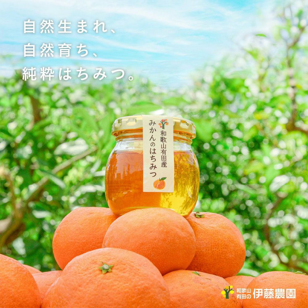 バラエティーセットV-095 (みかんジュース バラエティセット)