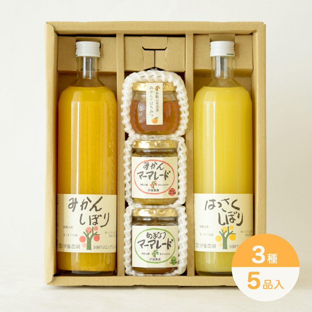 バラエティーセットV-065 (みかんジュース バラエティセット)