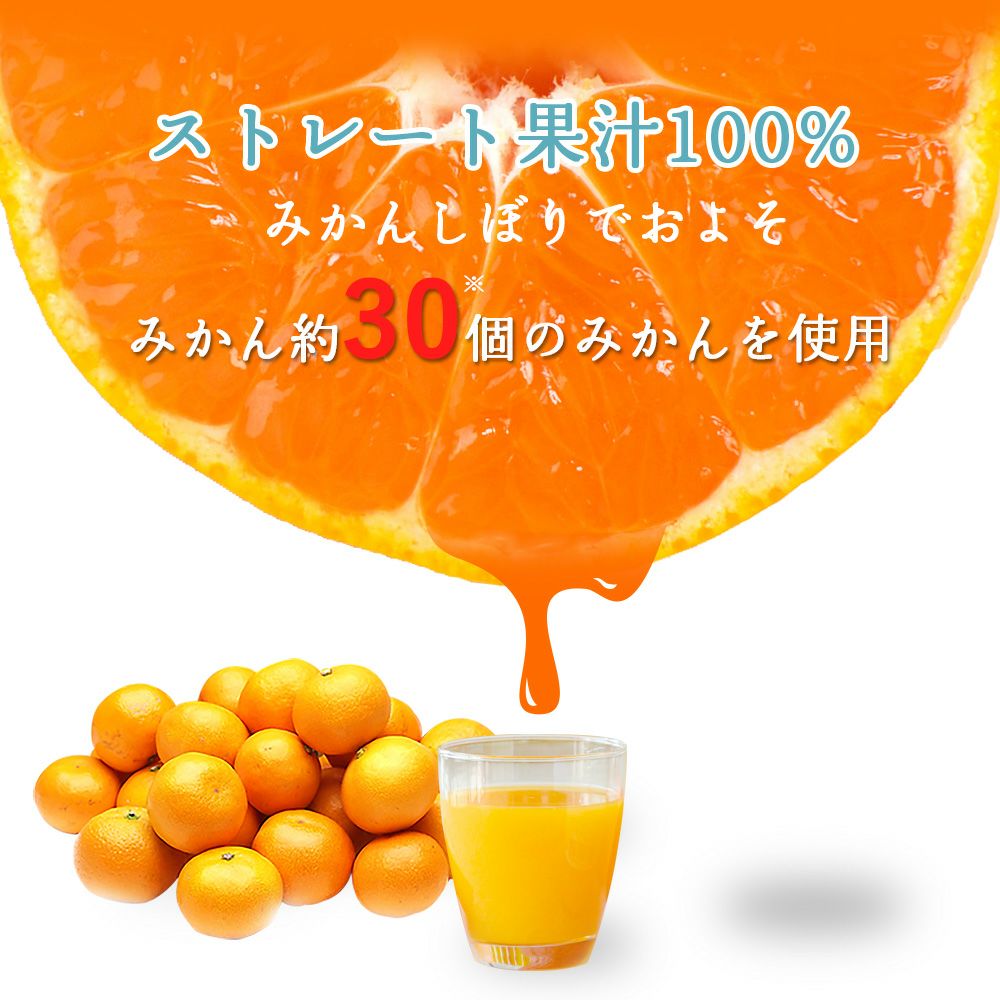 バラエティーセットV-065 (みかんジュース バラエティセット)