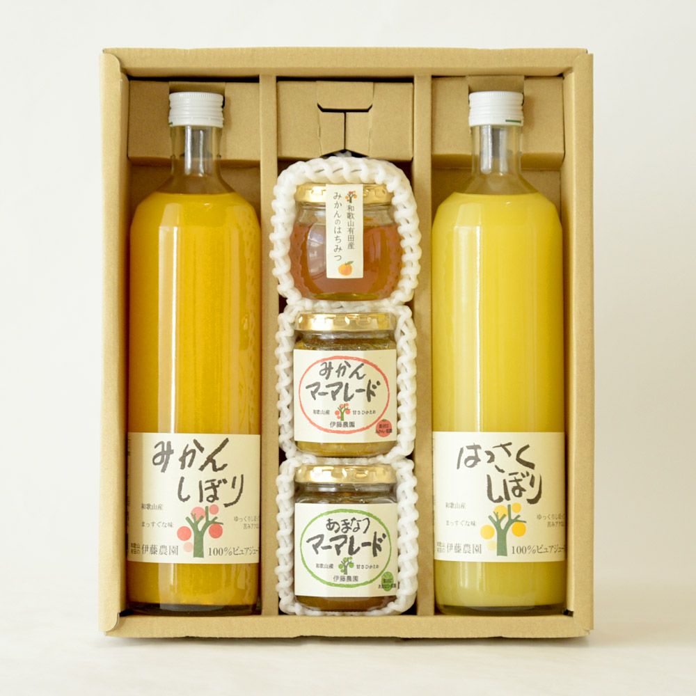 バラエティーセットV-065 (みかんジュース バラエティセット)