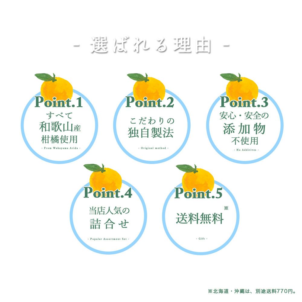 バラエティーセットV-038 (みかんジュース バラエティセット)