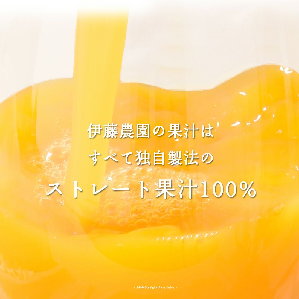 バラエティーセットV-038 (みかんジュース バラエティセット)