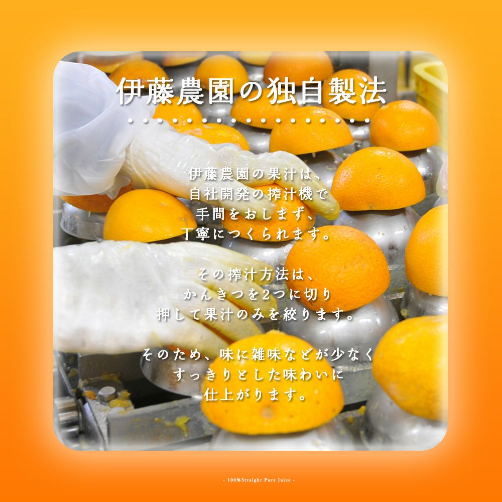 バラエティーセットV-038 (みかんジュース バラエティセット)