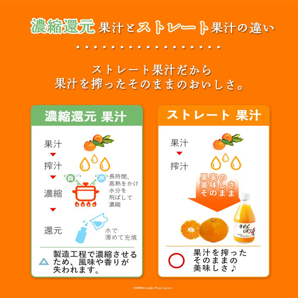 バラエティーセットV-038 (みかんジュース バラエティセット)