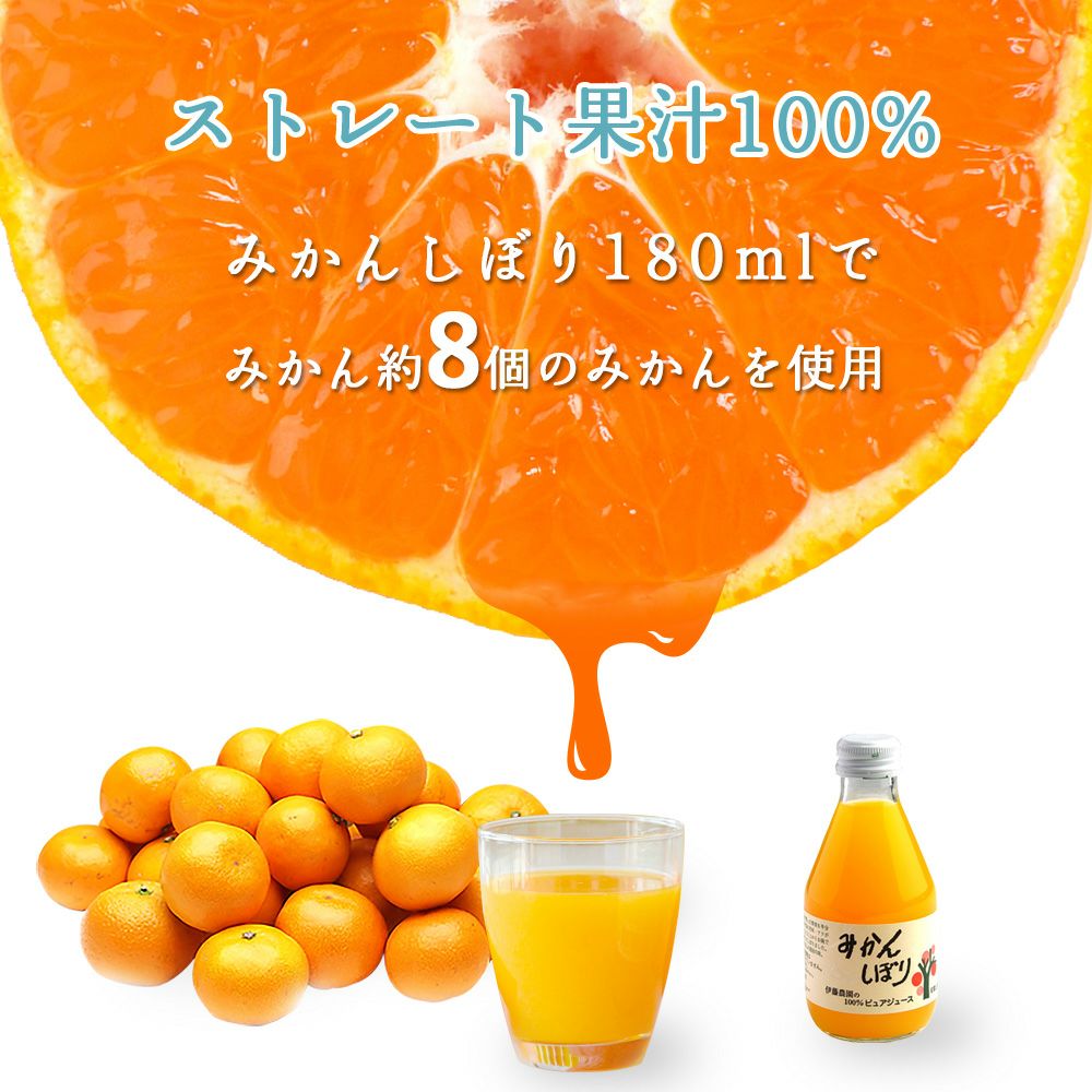 バラエティーセットV-038 (みかんジュース バラエティセット)