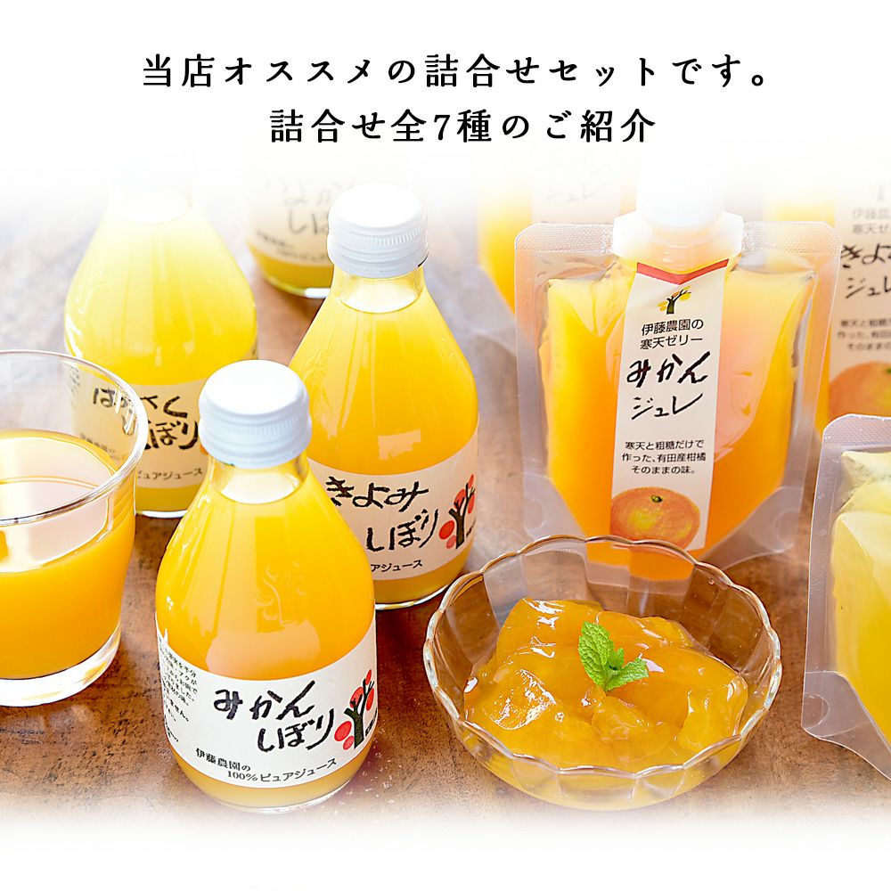 バラエティーセットV-038 (みかんジュース バラエティセット)