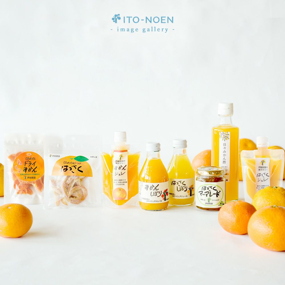 バラエティーセットV-038 (みかんジュース バラエティセット)