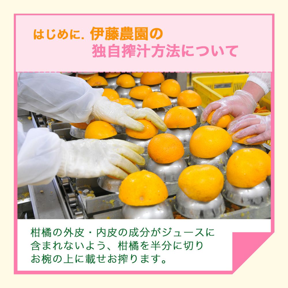 ファン感謝デイ】2026年春ガイド付き工場見学(お土産付) | 有田みかん