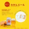 みかんエール WAKAYAMA MIKAN ALE