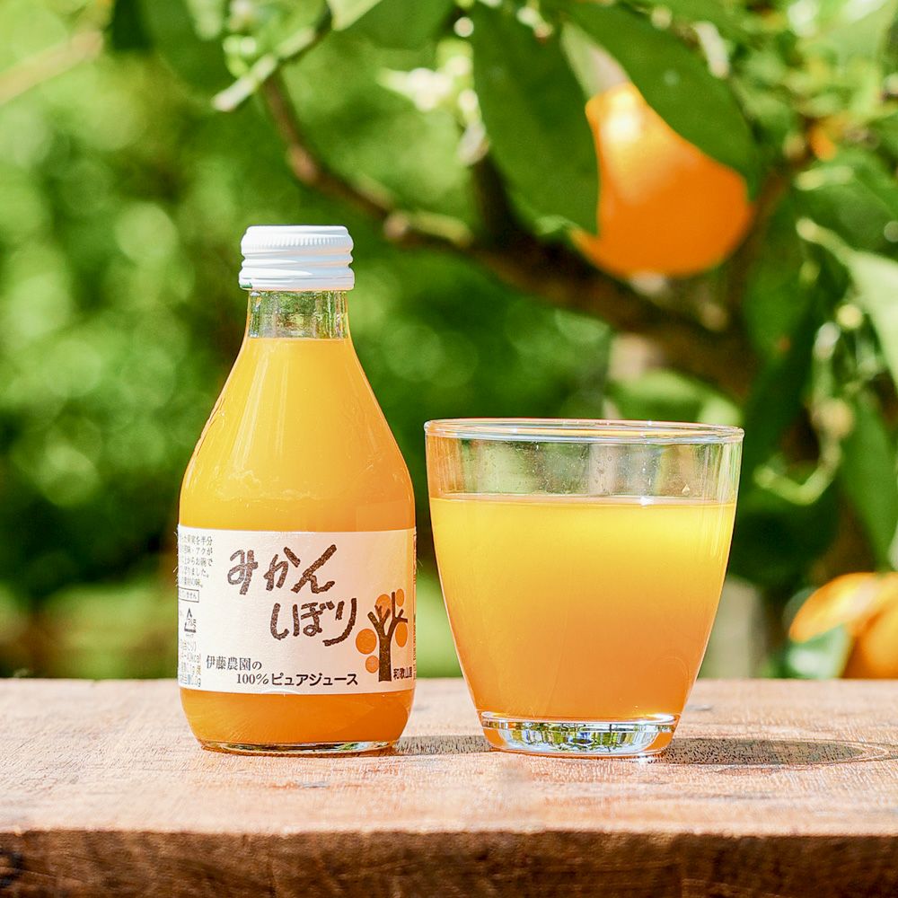  【定期便】 【月に1回お届け】 【14種類から選べる】100%ピュアジュース180ml(みかんジュース他)×15本セット