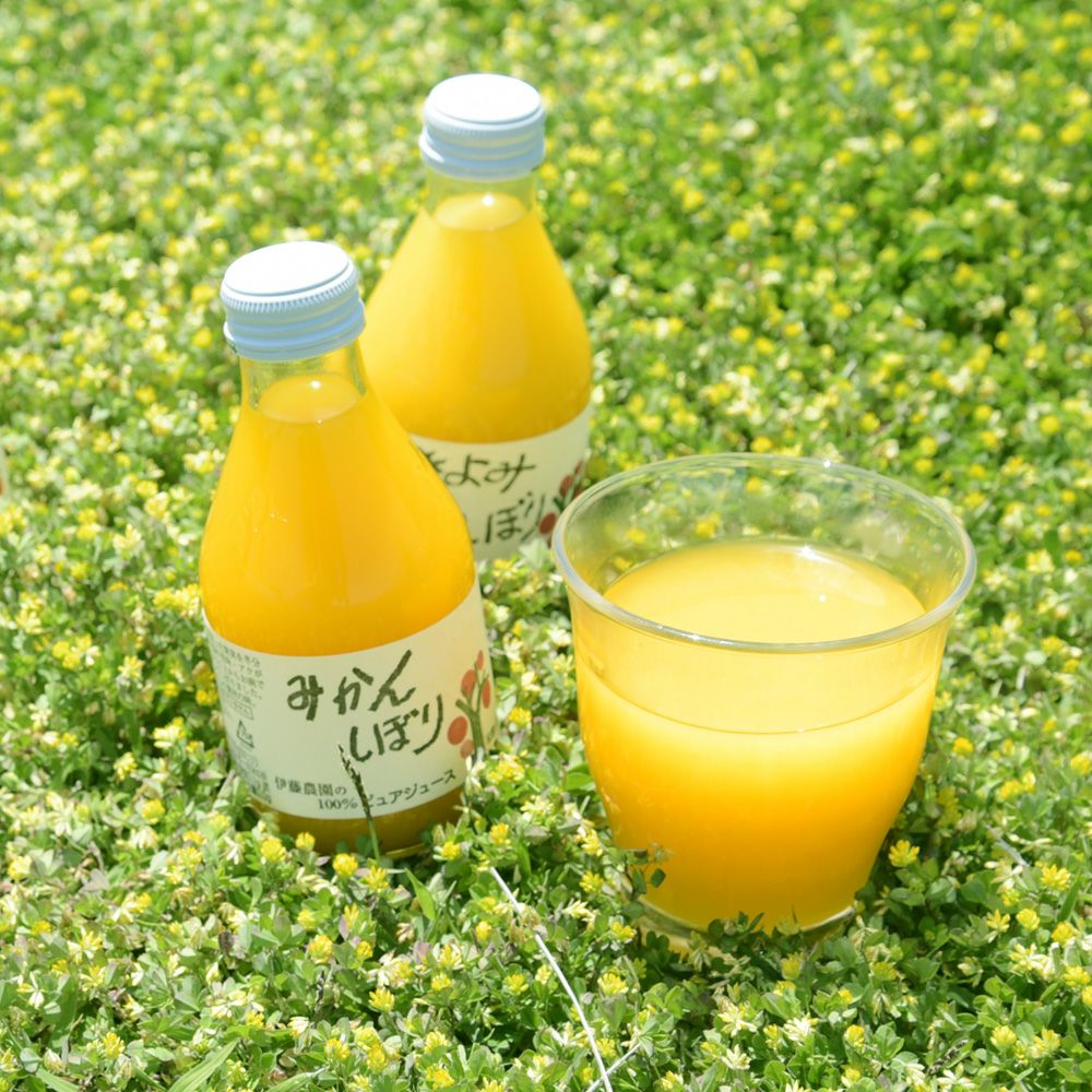 【定期便】 【月に1回お届け】 【16種類から選べる】100%ピュアジュース180ml(みかんジュース他)×30本セット