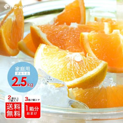 贈答用 2箱セット L 平箱 国産バレンシアオレンジ　12個入り 有田みかん 贈答用 L 平箱 国産バレンシアオレンジ 12個入り お中元 有田