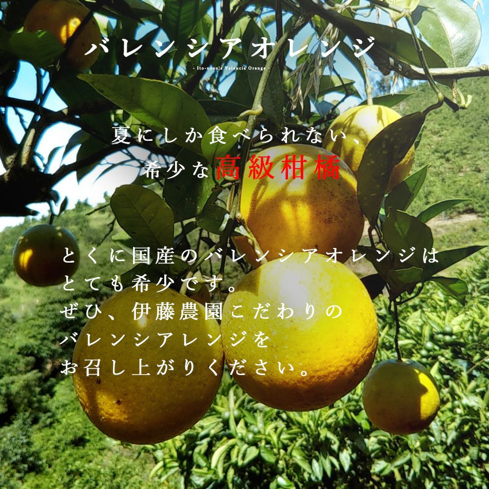 ばれんしあ