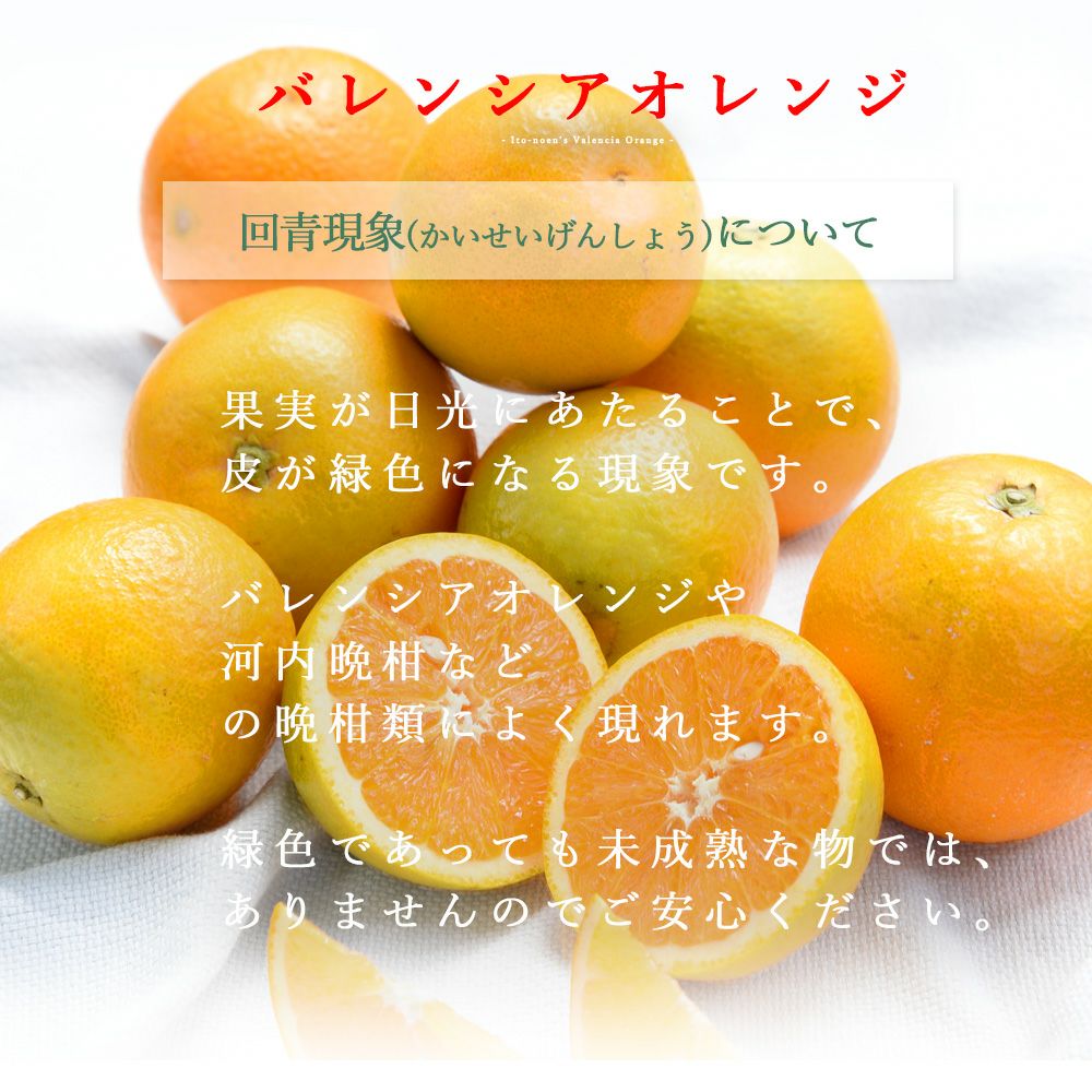 ばれんしあ