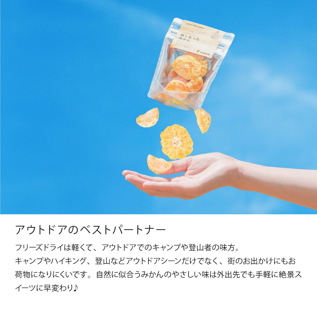 みかん果実のフリーズドライ(軽くなったみかん)