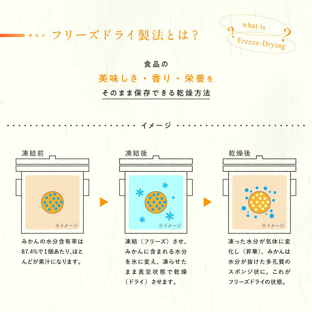 みかん果実のフリーズドライ(軽くなったみかん)