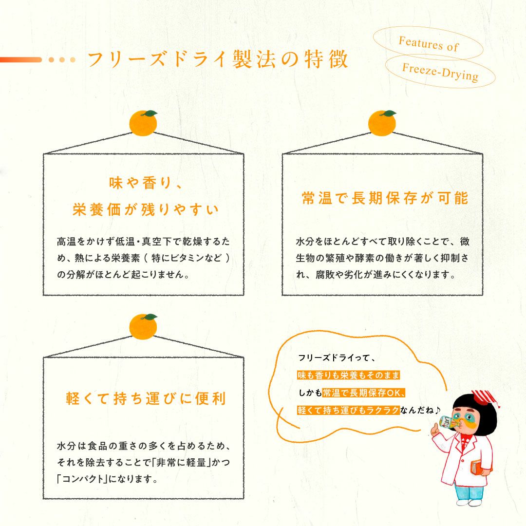 みかん果実のフリーズドライ(軽くなったみかん)