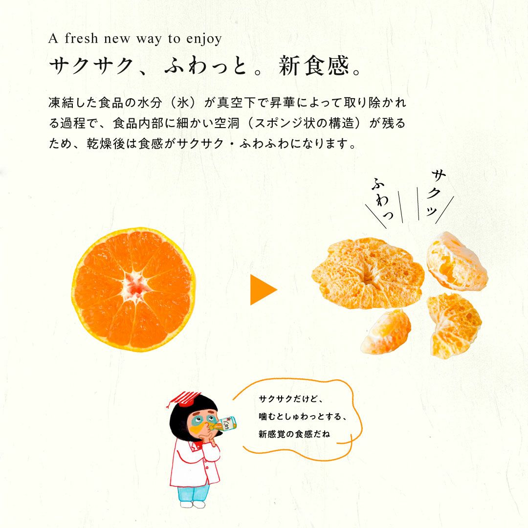 みかん果実のフリーズドライ(軽くなったみかん)