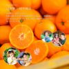みかん果実のフリーズドライ(軽くなったみかん)