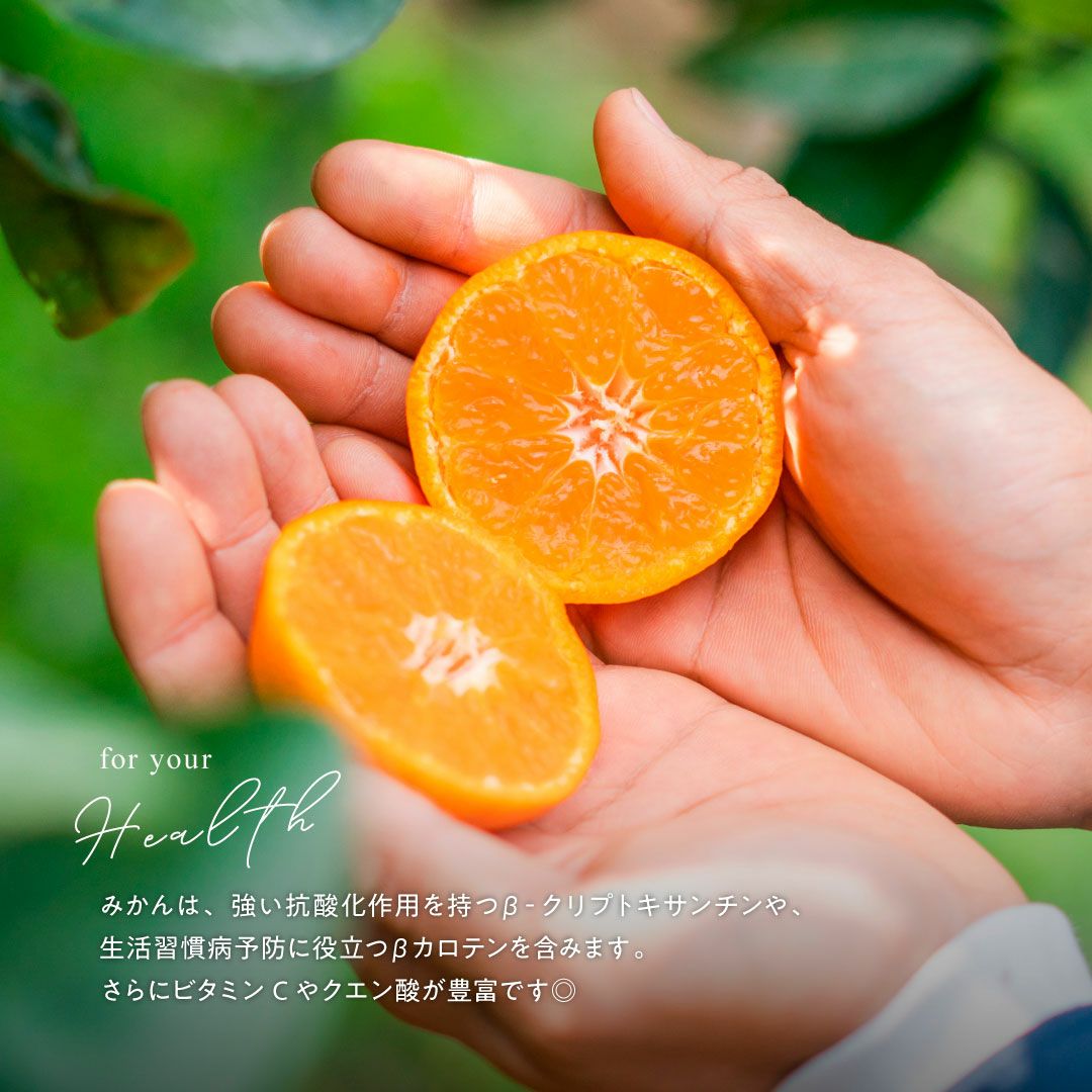 みかん果実のフリーズドライ(軽くなったみかん)