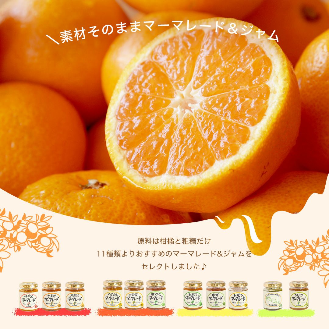 素材そのままマーマレード＆ジャム×3個入り(お試しセット)