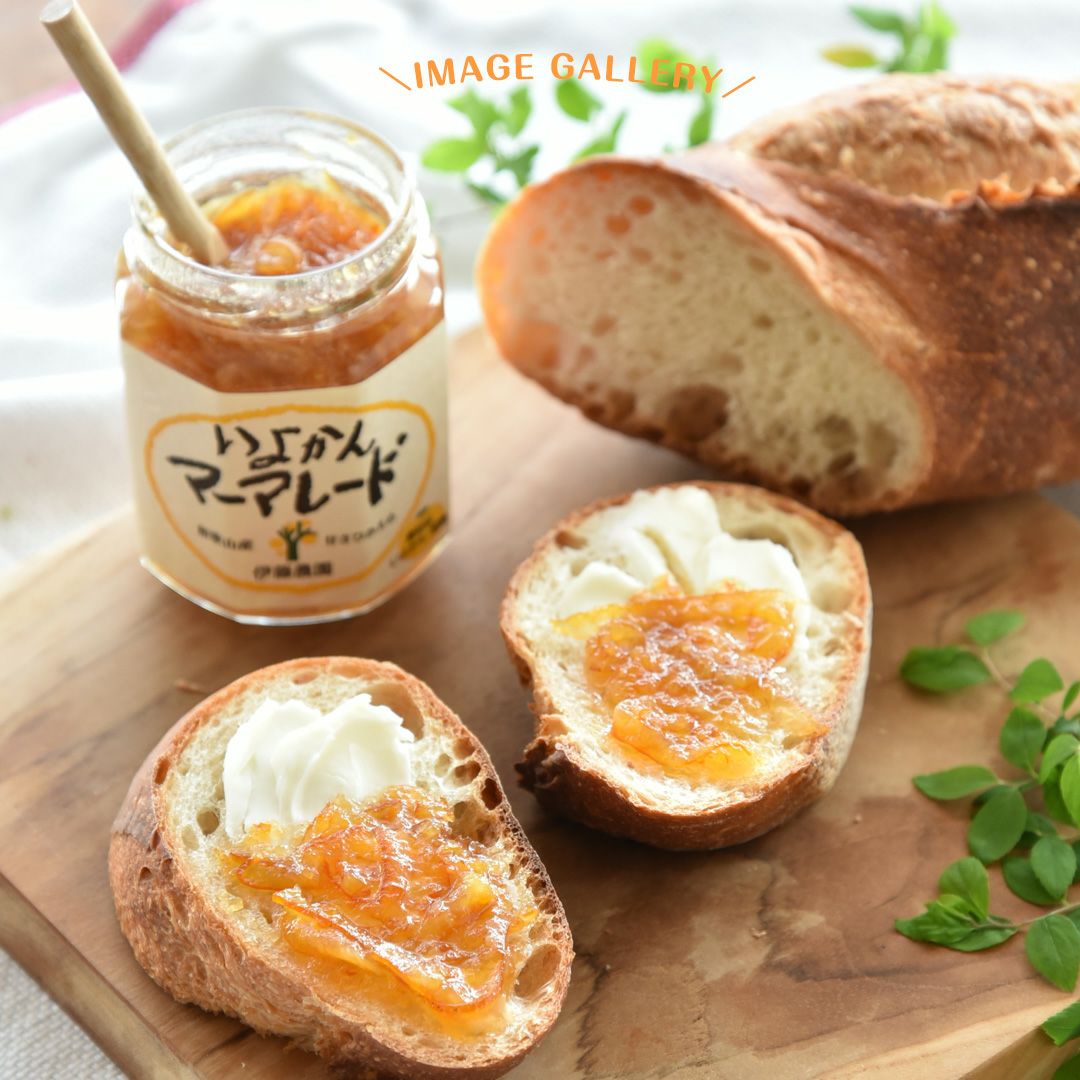 素材そのままマーマレード＆ジャム×3個
