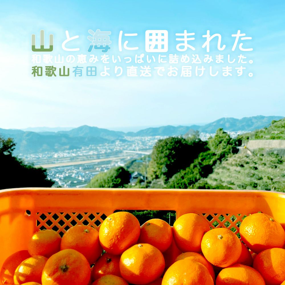 【内祝ギフト対象商品】バラエティセット(100%ピュアジュース180ml×4本・パックゼリー4個) (みかんジュース バラエティセット) U-175