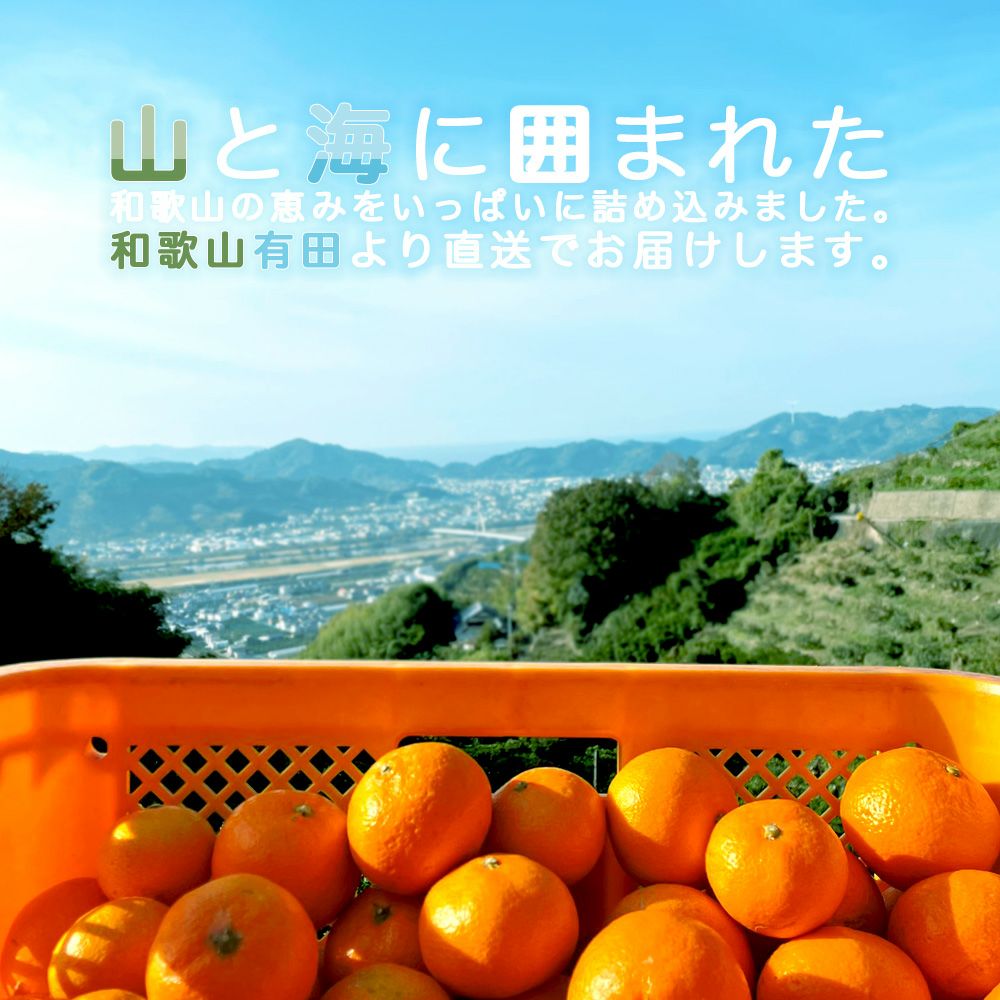 【内祝ギフト対象商品】バラエティセット(100%ピュアジュース180ml×3本・寒天ゼリー3個) (みかんジュース バラエティセット) U-082