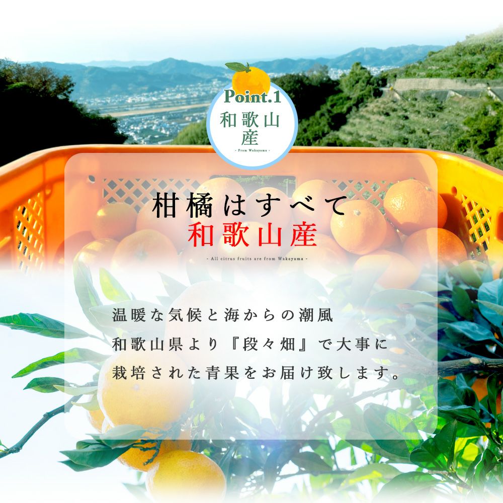 無料カタログ請求(伊藤農園のぴゅあなカタログ他)