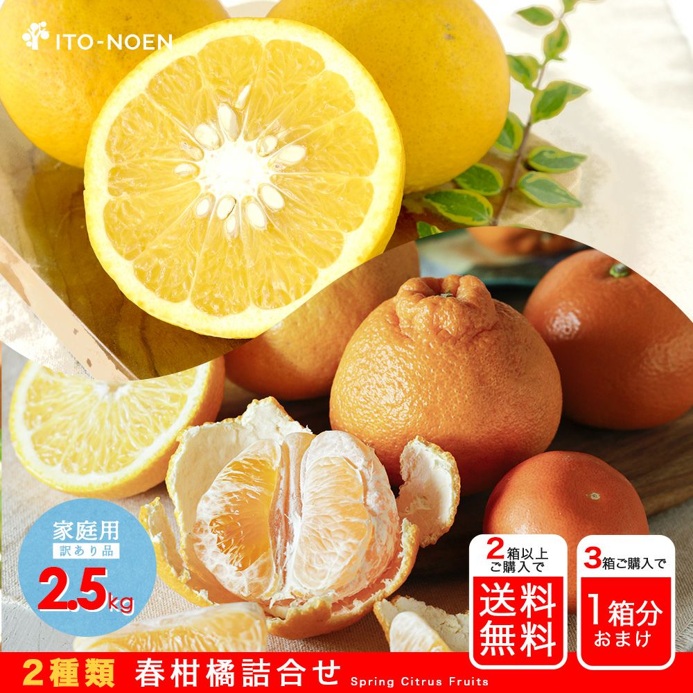 佐賀新聞・朝刊】春柑橘お楽しみ箱(八朔・不知火)【家庭用(訳あり品